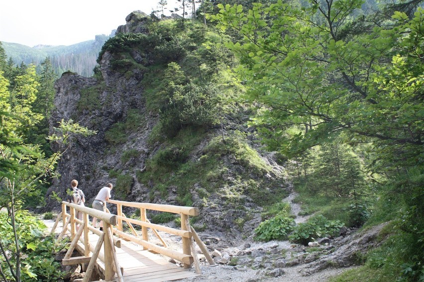 Tatry: Wreszcie wyremontowali szlaki w Tatrach