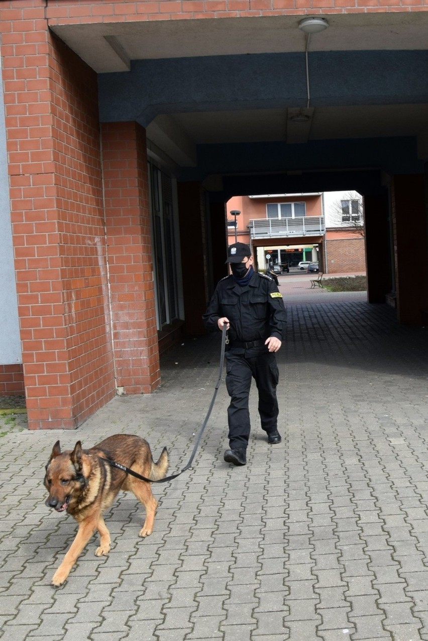 Zuchwałe włamanie do drogerii. W biały dzień, w centrum Stargardu. Złodziej perfum już w rękach policji. Mieszkańcy pomogli w zatrzymaniu