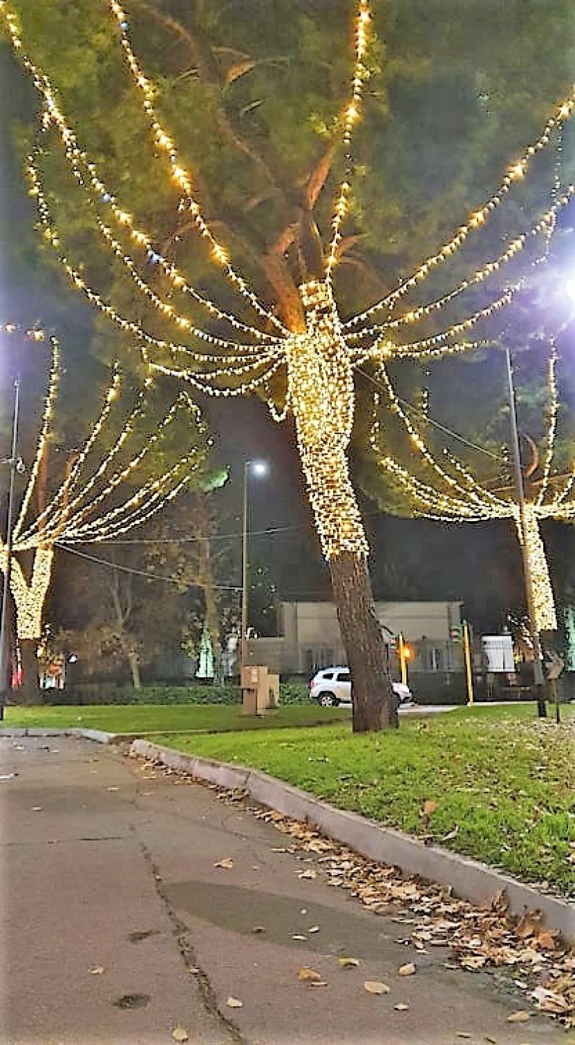 Na ulicach Florencji piękne, świąteczne  iluminacje, ale zupełny brak turystów. Święta w domu, w wąskim gronie.  Zobacz zdjęcia