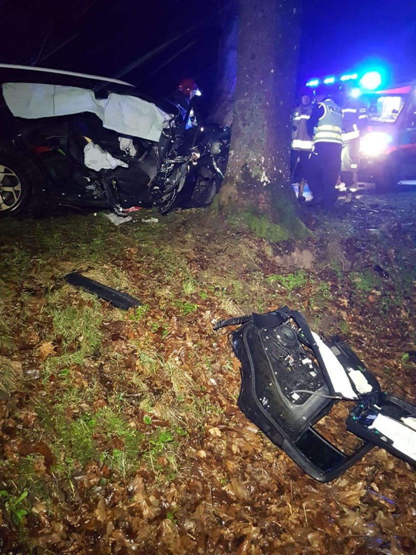 Auto roztrzaskało się na drzewie na drodze koło Barwic [zdjęcia]