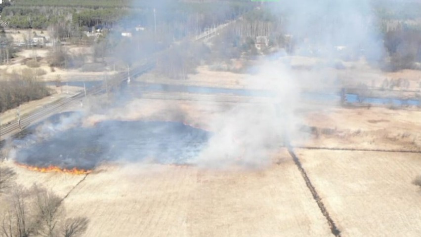 Pożar suchych traw w Bobrach w gm. Radomsko. Interweniują strażacy [ZDJĘCIA]