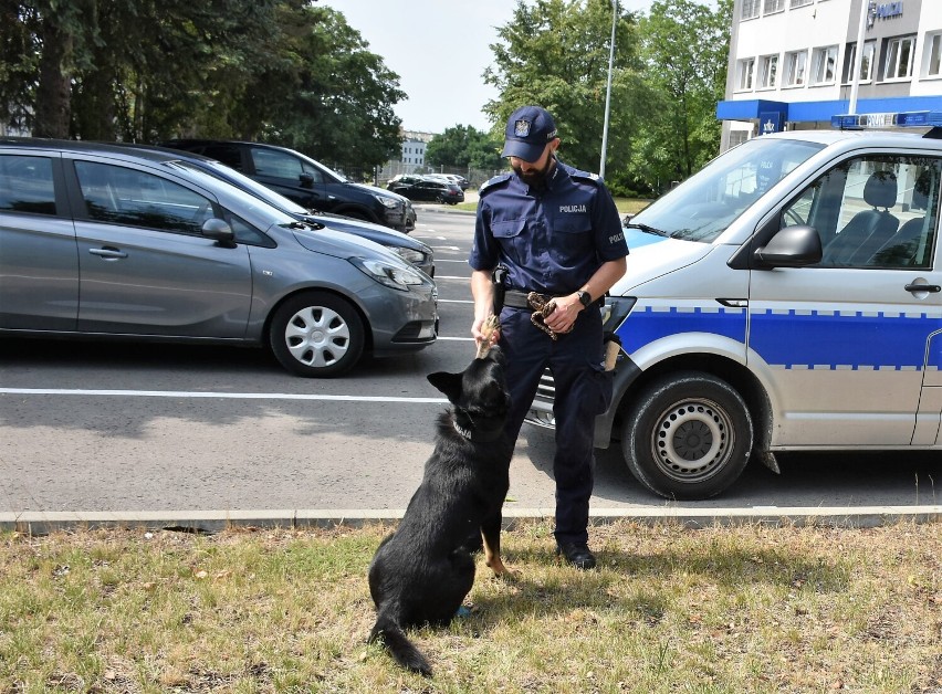 Czort to zdecydowanie więcej niż pies służbowy – to najlepszy przyjaciel. Zobacz zdjęcia