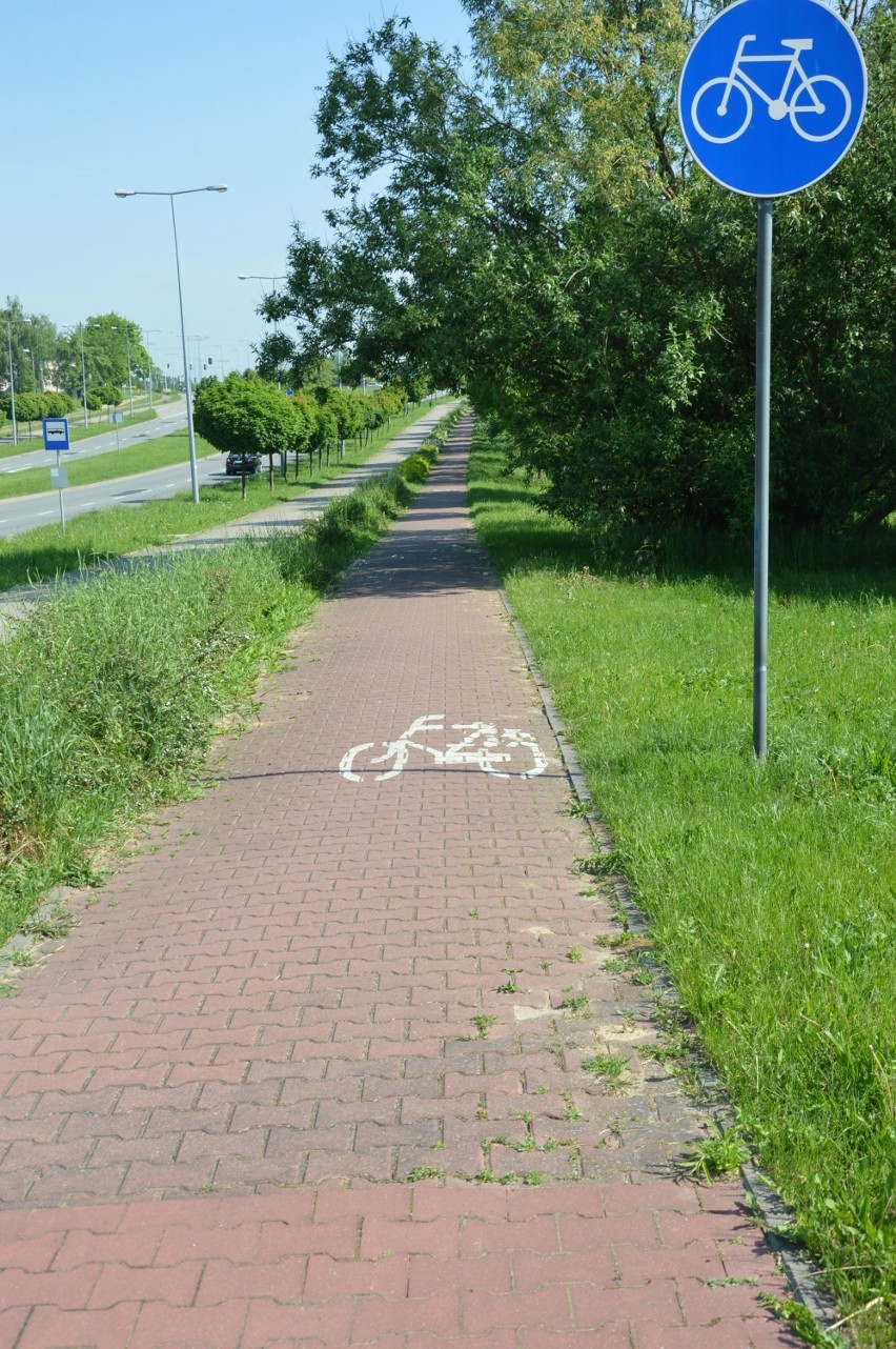 Ścieżki rowerowe w Piotrkowie