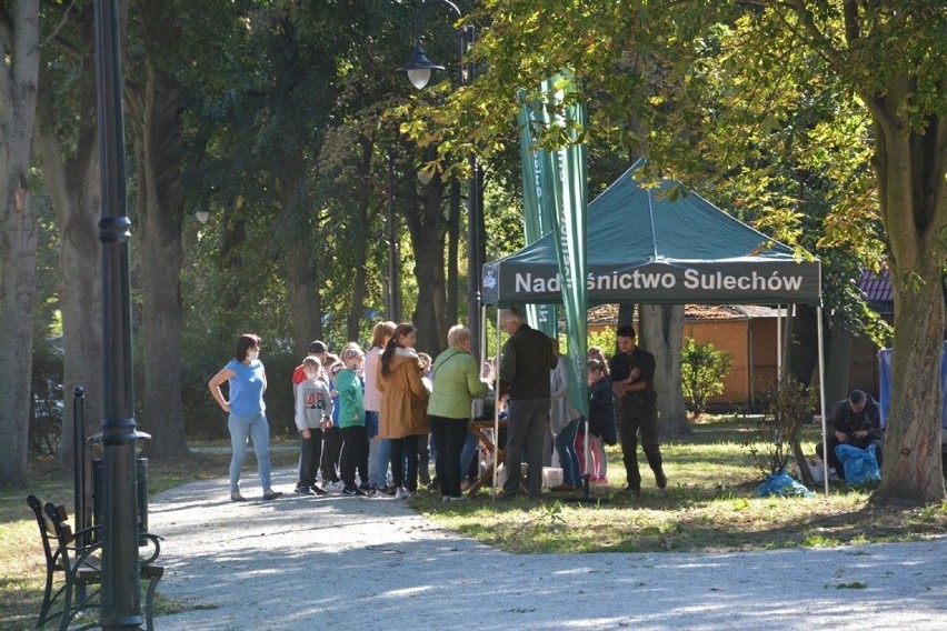 Leśnicy rozdali mieszkańcom Sulechowa ponad tysiąc drzew do...