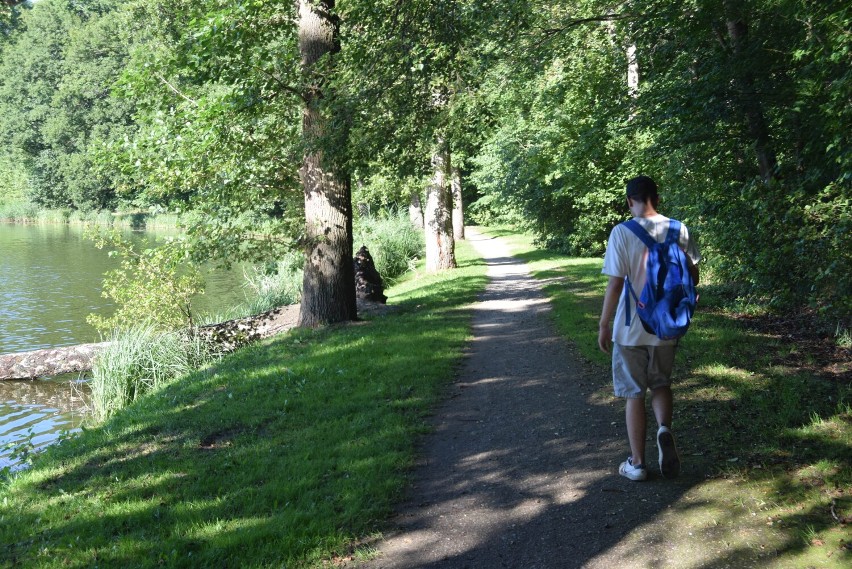 Lato w Kościerzynie. Park Rodzinny nad Jeziorem Kaplicznym w Kościerzynie poleca się na spacer. Jest pięknie! ZDJĘCIA