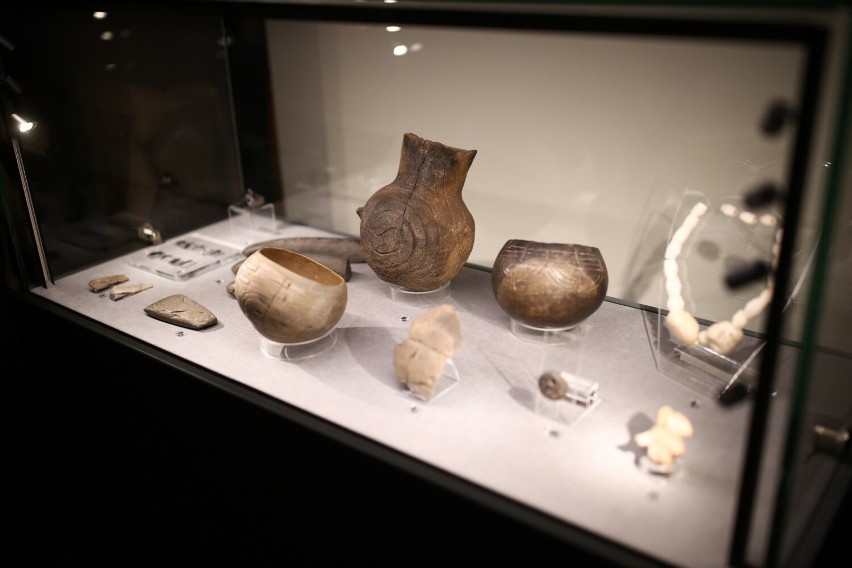 Strych pełen odległej historii. Muzeum Archeologiczne w Krakowie zyskało nowe przestrzenie wystawiennicze