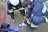Strażacy ratowali bociana, który wypadł z gniazda [FOTO]