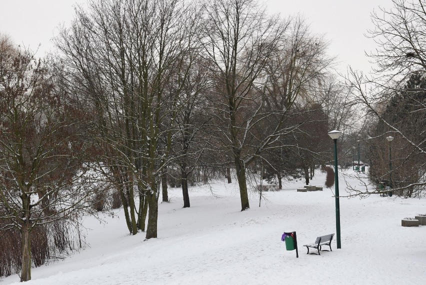 Czy Park Przyjaźni to dobre miejsce na aleję Miast...