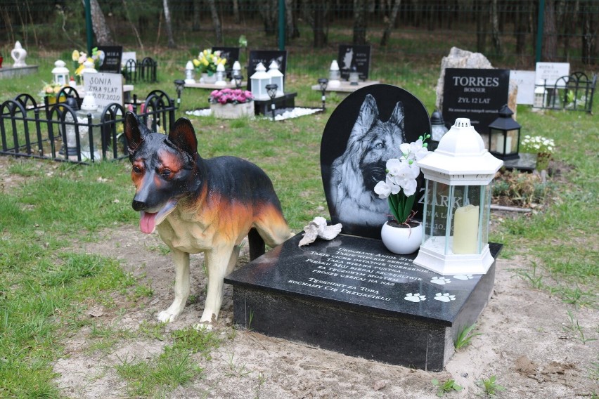Wyjątkowy cmentarz dla zwierząt w Węgliskach koło Rakszawy.