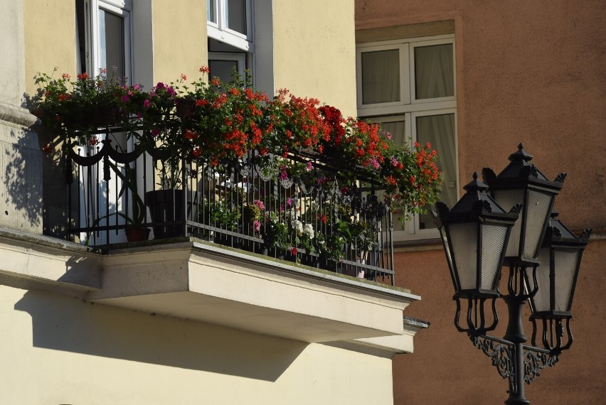 Najpiękniejsze balkony, loggie i ogródki w Kaliszu....