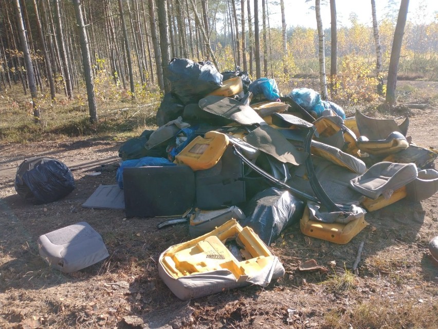 Mnóstwo śmieci wylądowało ostatnio w lasach na terenie woj....