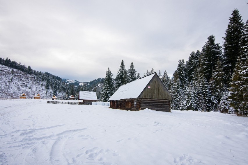 Tatry. Zimowa wycieczka do zapomnianej i odludnej Doliny Lejowej