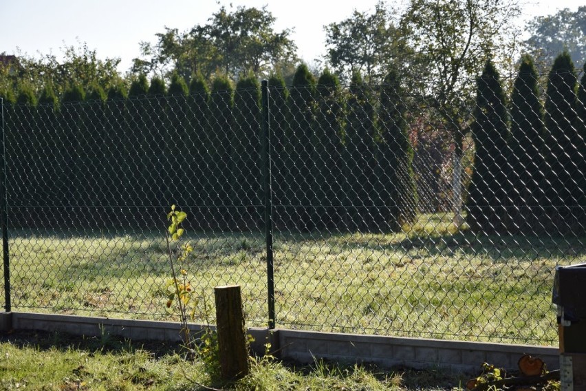 Zbąszyń: Rodzinne Ogrody Działkowe "KROKUS",  wymiena ogrodzenia [Zdjęcia]                      