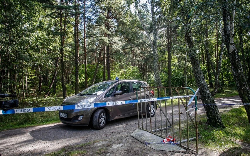 Policja wznowiła przeszukanie ternów zielonych wzdłuż drogi...