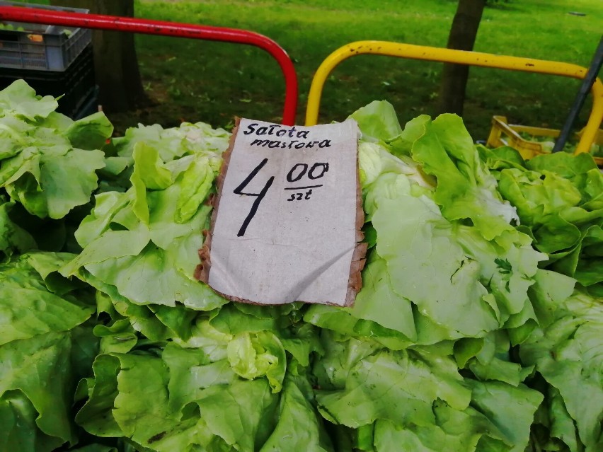 Ceny owoców i warzyw na Zielonym Rynku