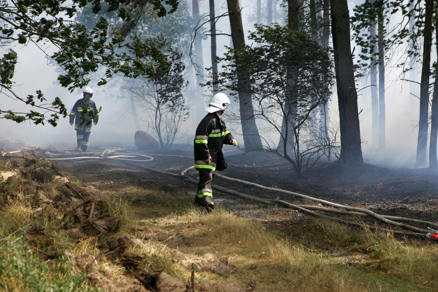 Duże zagrożenie pożarowe w lasach, także w powiecie radomszczańskim