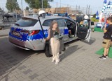 Pouczająca zabawa na festynie. Policjantka mówiła dzieciom o pracy w policji i bezpiecznych zachowaniach