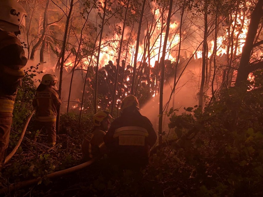 Pożar składowiska drewna w miejscowości Kamienniki