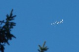 Dziennikarz zrobił zdjęcie tankujących samolotów nad Człuchowem