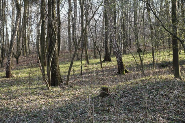 Na Balatonie widać wiosnę. Wokół kąpieliska robi się zielono