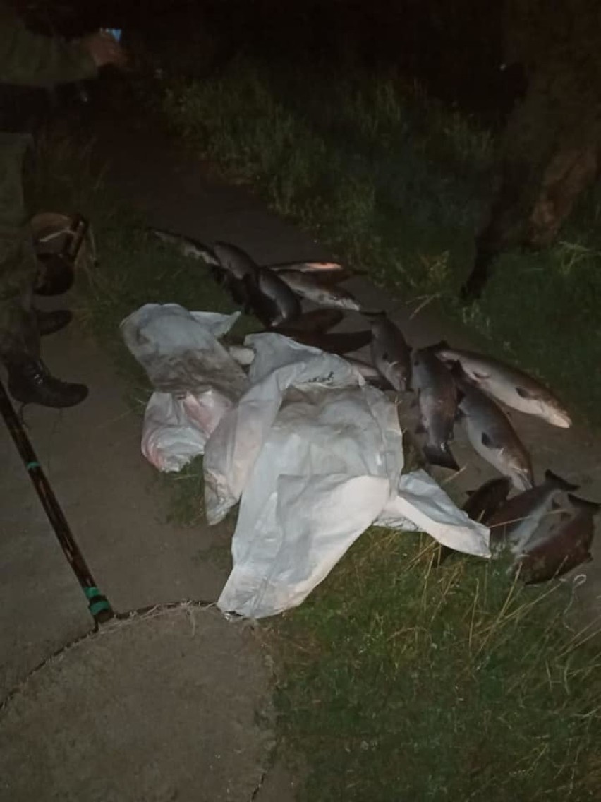 W gminie Darłowo nielegalnie łowili ryby rażąc je prądem. Grozi im 2 lata więzienia