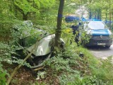 Wypadek w Kałach. 24-latek w peugeocie uderzył w drzewo. Pogotowie zabrało go do szpitala