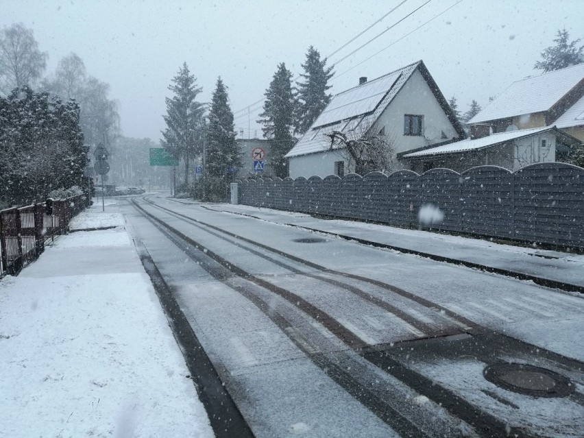 Ostatni atak zimy w Goleniowie? Nad miastem przeszła śnieżyca - ZDJĘCIA