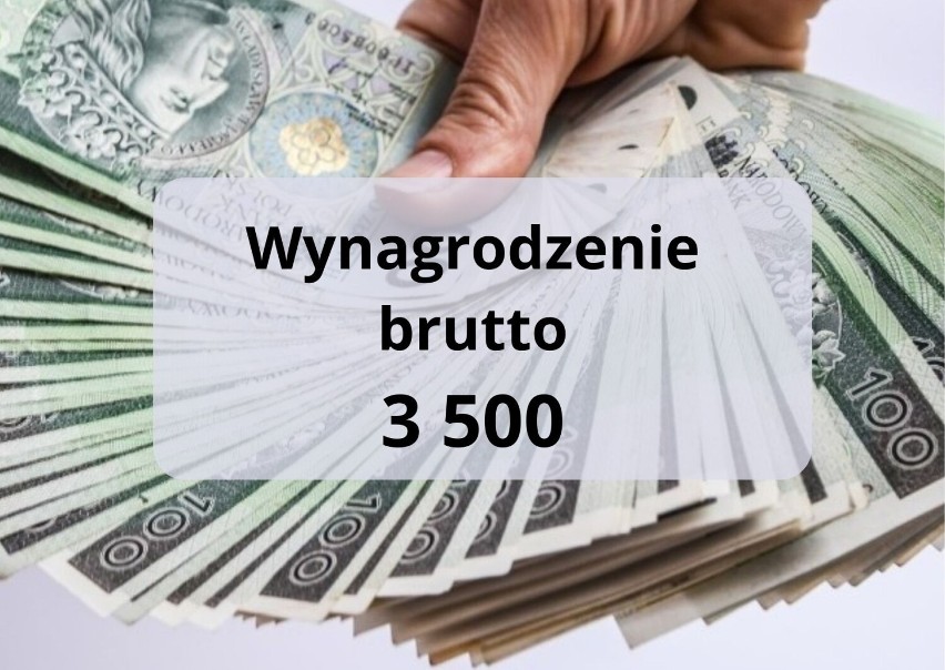 Tyle pieniędzy dostaniesz we wrześniu 2022....