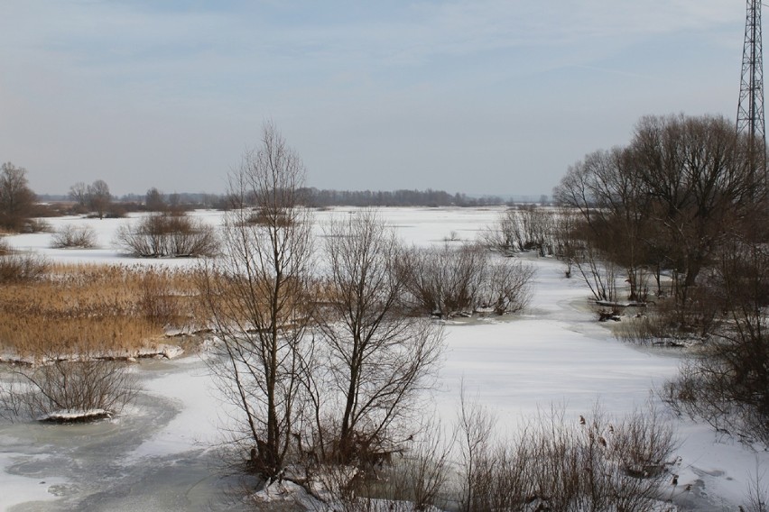 Nad Wartą w zimie