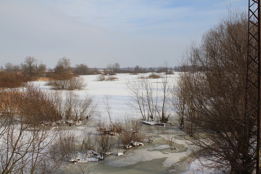 Nad Wartą w zimie