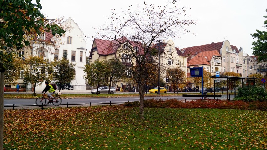 Bydgoska złota jesień w parku Jana Kochanowskiego [zdjęcia, wideo]