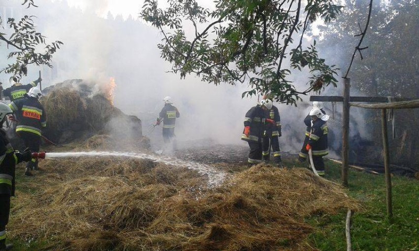 Pół setki strażaków walczyło z ogniem pięć godzin