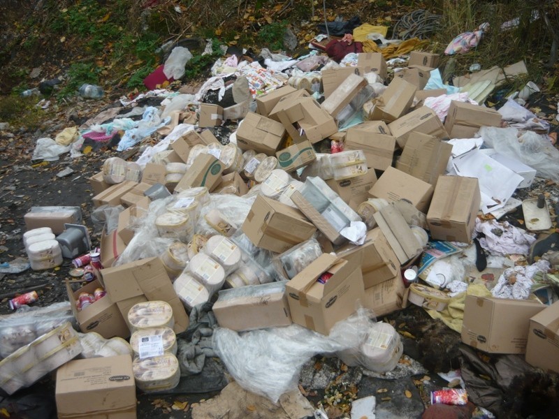 Wysypisko śmieci w Kochłowicach