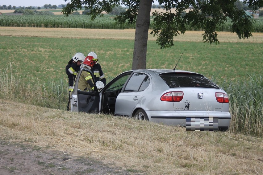 Zderzenie dwóch aut. Jedno z nich uderzyło w drzewo [ZDJĘCIA]                                