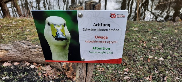 Warto wybrać się na weekend z dzieciakami do ogrodu zoologicznego w Görlitz-Zgorzelec