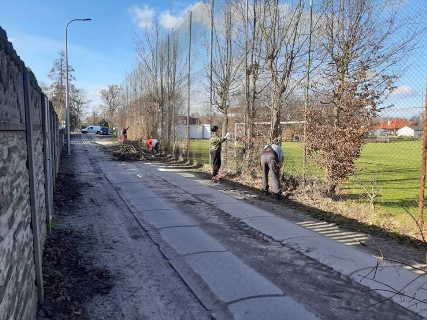 Strażacy z Podrzewia podcięli drzewa przy ulicy Sportowej [ZDJĘCIA]