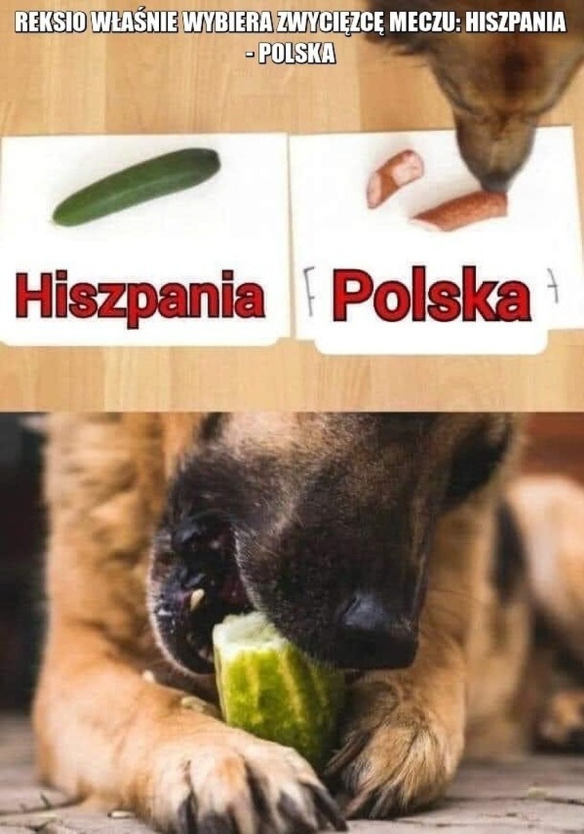 MEMY przed meczem Polska - Hiszpania: jeszcze 2 mecze i...