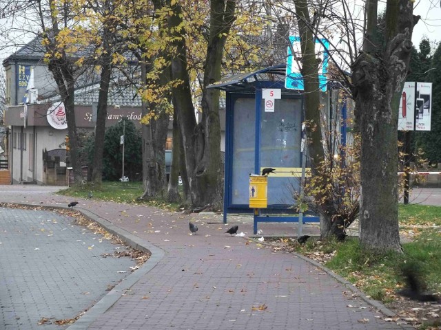 W środę 11 listopada ulice Starachowic były puste.