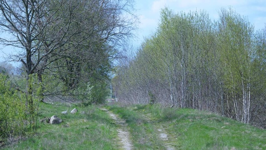 Szlak rowerowy przez gminę Borne Sulinowo. Znamy szczegóły i terminy [zdjęcia]