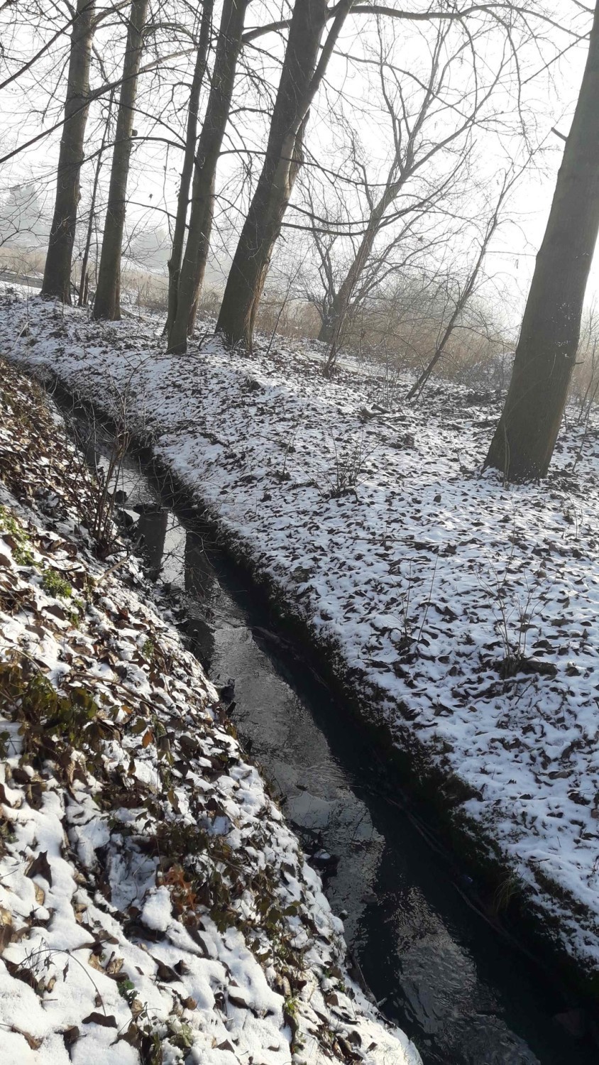 Smród, piana i zanieczyszczenia. Krakowski potok znów uprzykrza życie