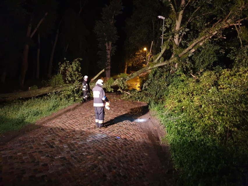 Nocna wichura nad powiatem ostrowskim. Powalone drzewo w Sobótce