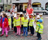 Lubliniec: Wystawa na rynku. W roli głównej bociany [FOTO]