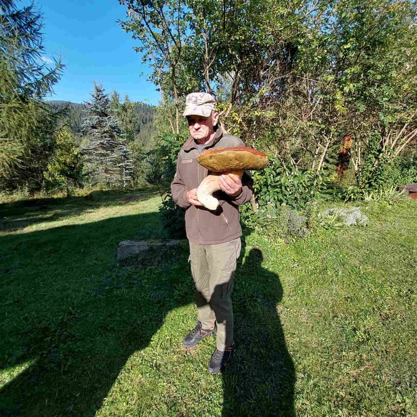 Grzyb gigant znaleziony na terenie Karpackiego Parku Narodowego - ok. 200 km. od granicy z Polską