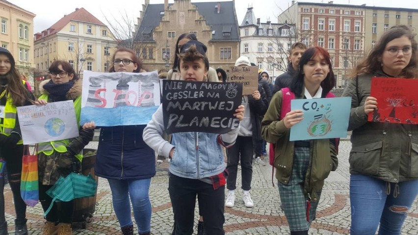 Wałbrzych: Młodzieżowy Strajk Klimatyczny [ZDJĘCIA]