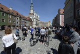 Stary Rynek tętni życiem. Turyści przyjechali do Poznania po lockdownie. W południe poznaniacy przyszli obejrzeć trykające się koziołki