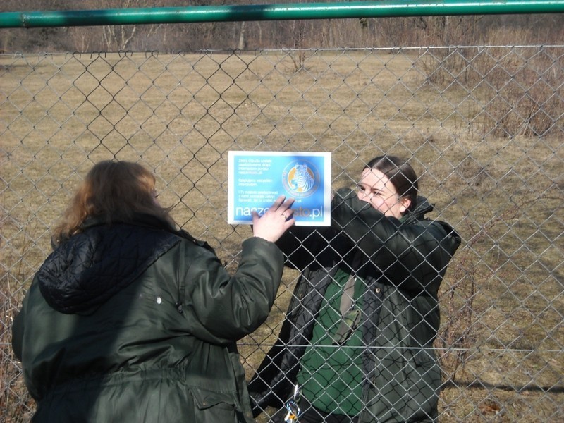 Naszemiasto.pl adoptowało zebrę z poznańskiego ZOO [ZDJĘCIA, WIDEO]