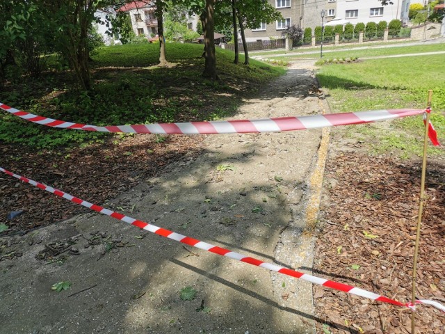 Zniszczone alejki w parku w Kościelcu w Chrzanowie