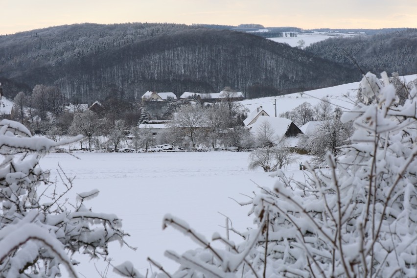 Stanisławów i wzgórze Rosocha na Dolnym Śląsku w zimowej szacie wyglądają jak kraina lodu. Widać stąd Legnicę i Lubin! [ZDJĘCIA]