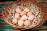 Wrocław: Gdzie najtaniej kupimy jajka?
