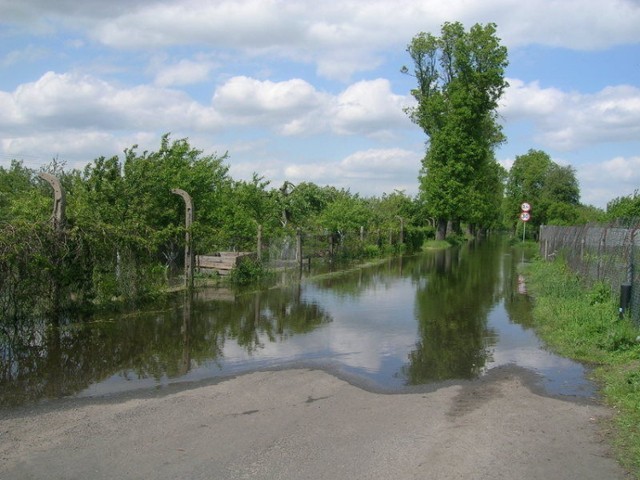 25 maja. Woda płynie ul.Wodną - wzdłuż działek, w kierunku cmentarza i miasta. Fot. Jola Paczkowska